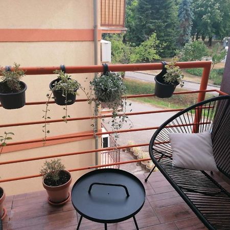 Koko Apartman Vrnjacka Banja Luaran gambar