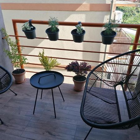 Koko Apartman Vrnjacka Banja Luaran gambar