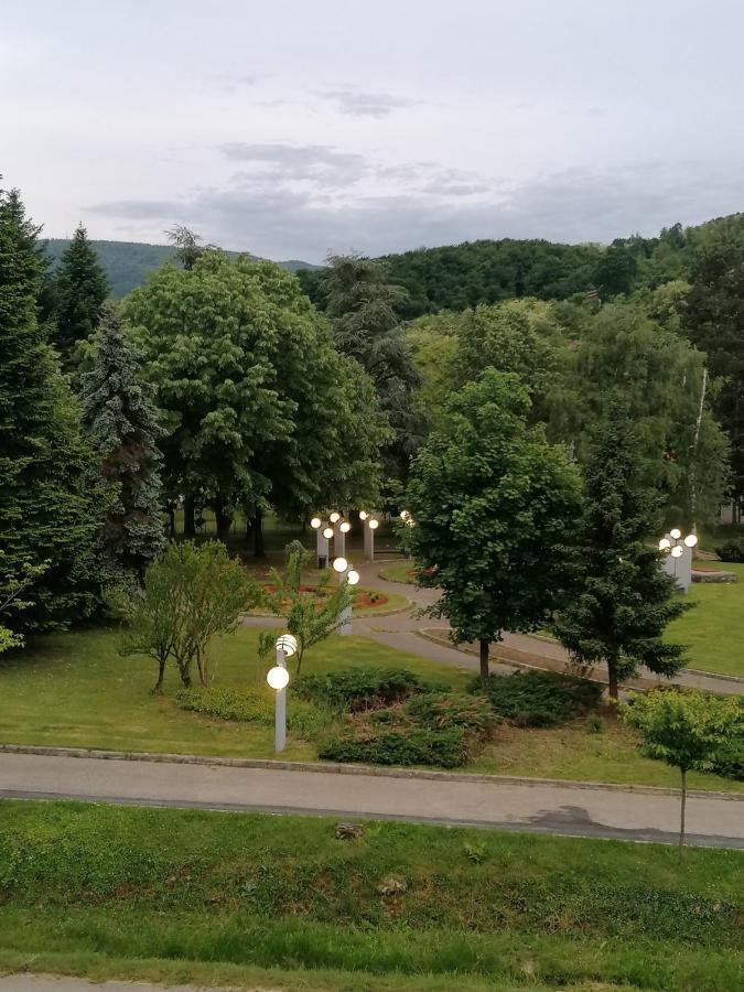 Koko Apartman Vrnjacka Banja Luaran gambar