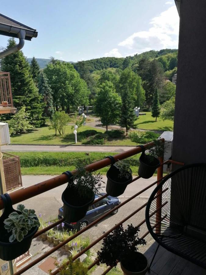 Koko Apartman Vrnjacka Banja Luaran gambar