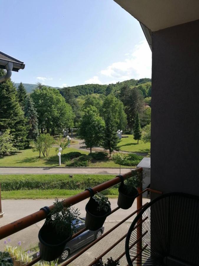 Koko Apartman Vrnjacka Banja Luaran gambar
