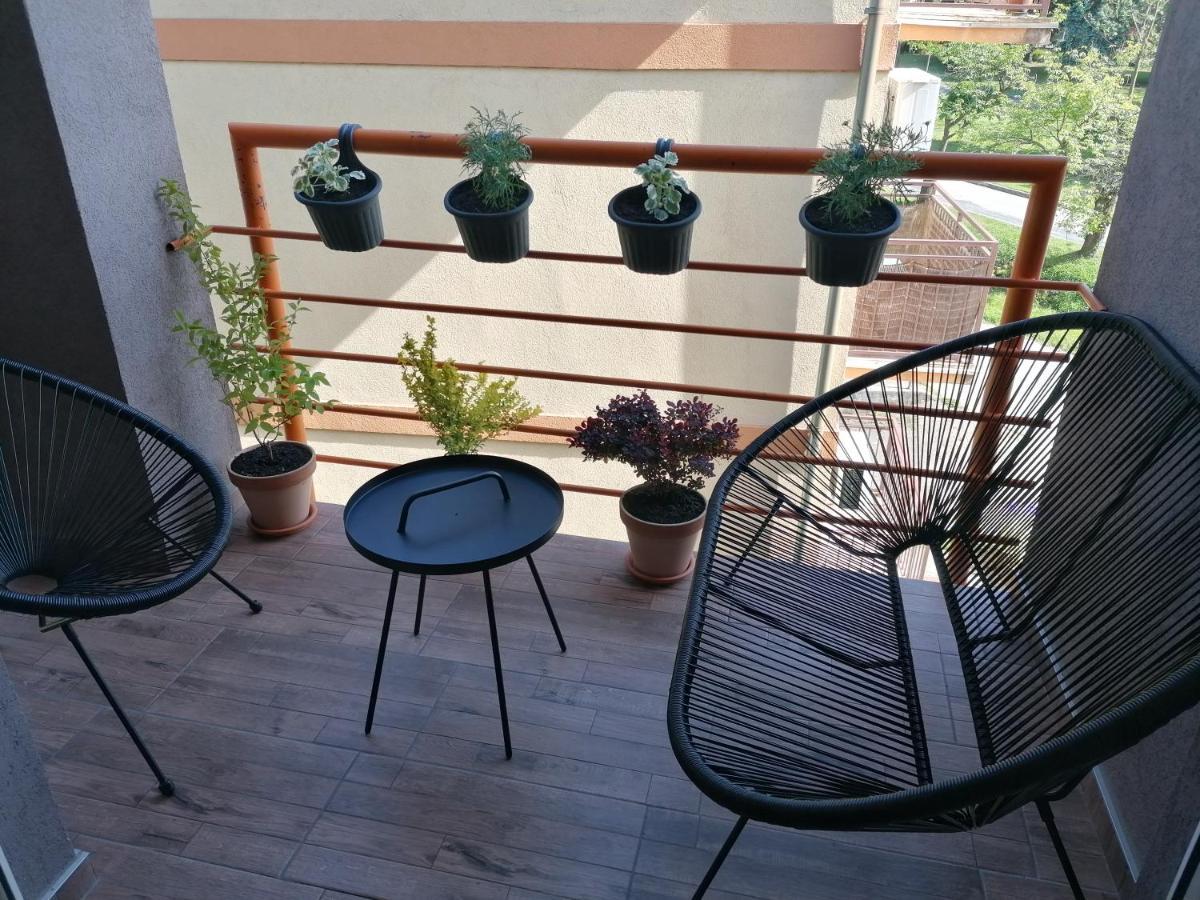 Koko Apartman Vrnjacka Banja Luaran gambar